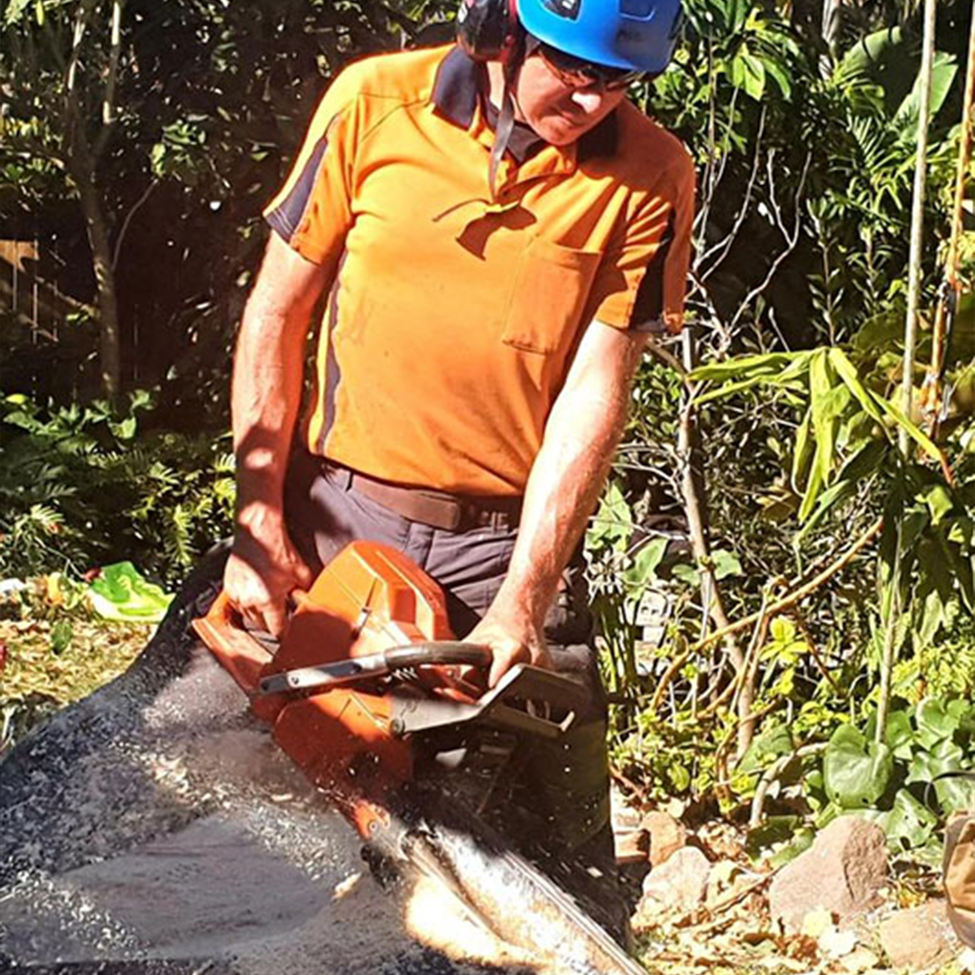 Arborist wearing Tradies Gear No-Buckle Belt on worksite – comfortable, safe,  metal-free work belt in action